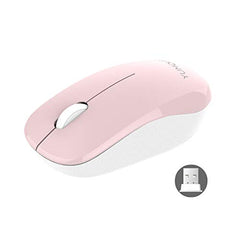 YUMQUA Computer Mouse Wireless with Nano Receiver, 2.4G Optical Silent Cordless Mouse for Laptop Chromebook Notebook PC Desktop